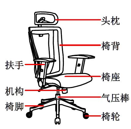 ​人体工程学椅-人体工学电脑椅如何选择？这4点需要注意